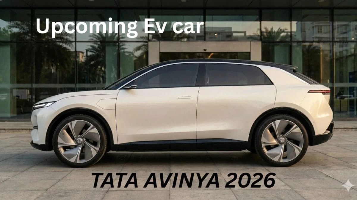 Tata avinya